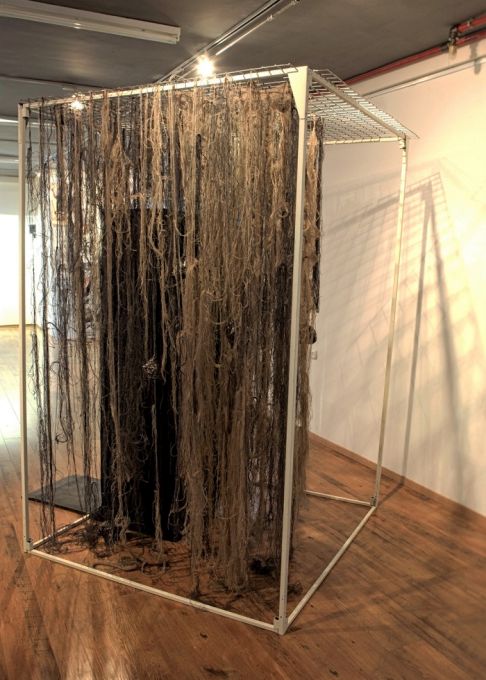 ���� ����